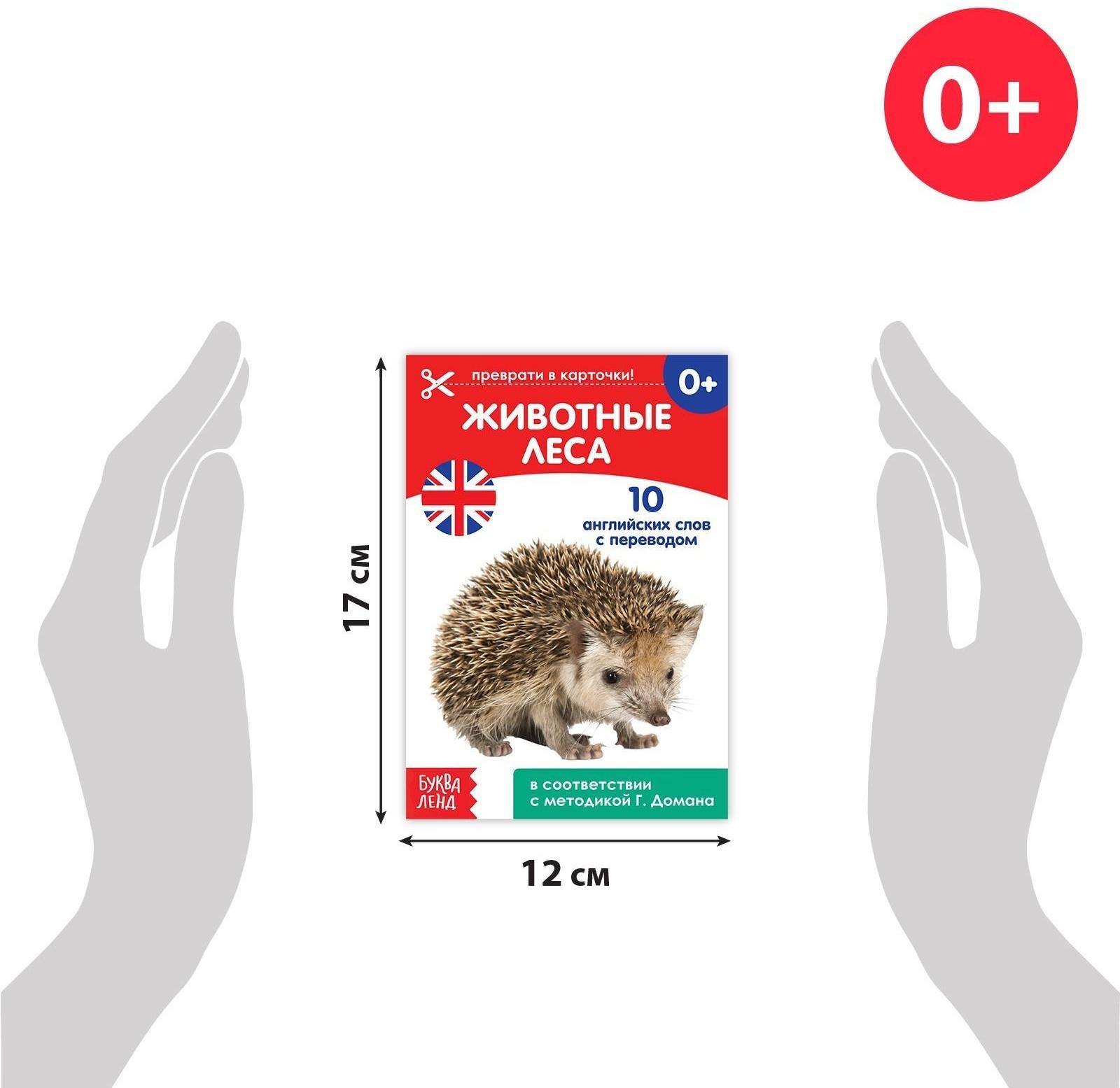 Книги набор «Карточки Домана на английском языке», 8 шт. по 24 стр.