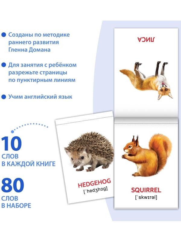 Книги набор «Карточки Домана на английском языке», 8 шт. по 24 стр.