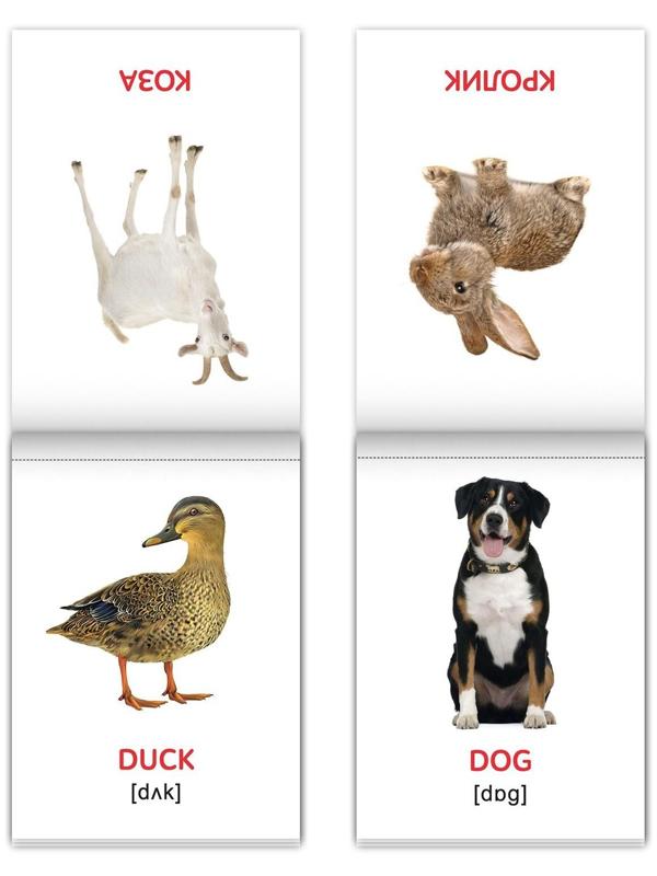 Книги набор «Карточки Домана на английском языке», 8 шт. по 24 стр.