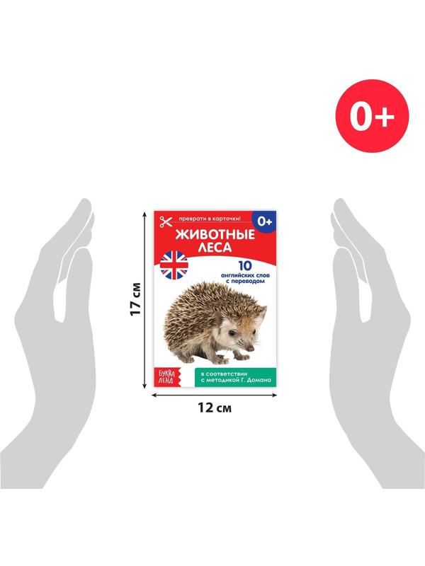 Книги набор «Карточки Домана на английском языке», 8 шт. по 24 стр.