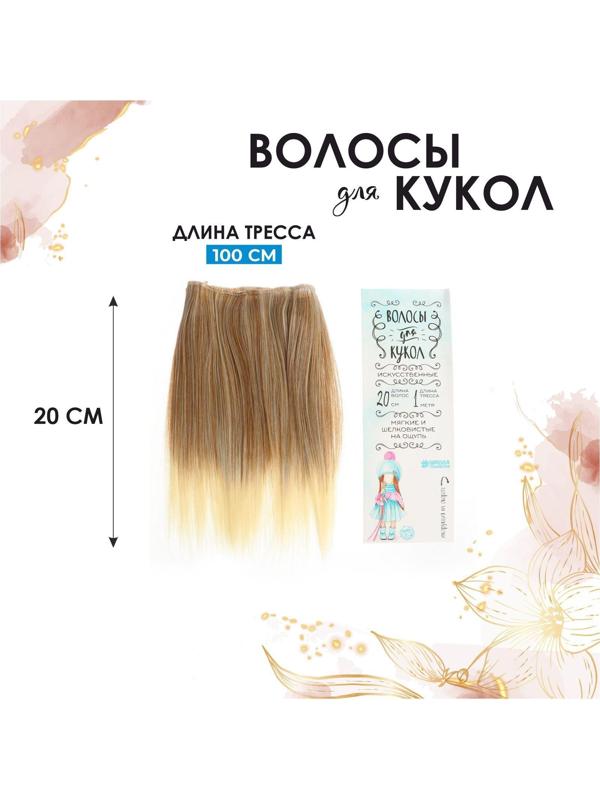 Волосы - тресс для кукол «Прямые» длина волос: 20 см, ширина: 100 см, №LSA051