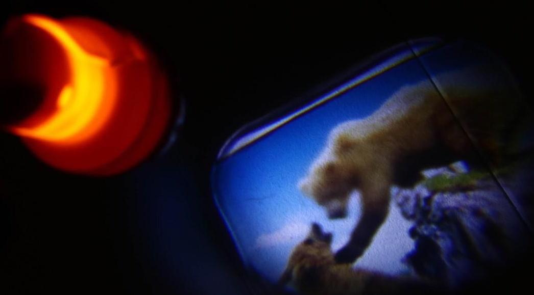 Проектор-фонарик «Щенячий патруль», Paw Patrol, МИКС