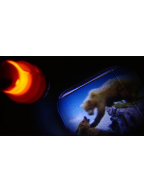 Проектор-фонарик «Щенячий патруль», Paw Patrol, МИКС