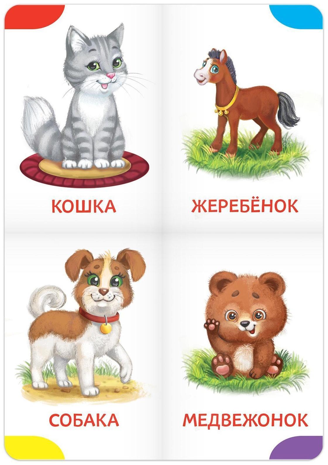 Книги-лото картонные набор из 4 шт. №1