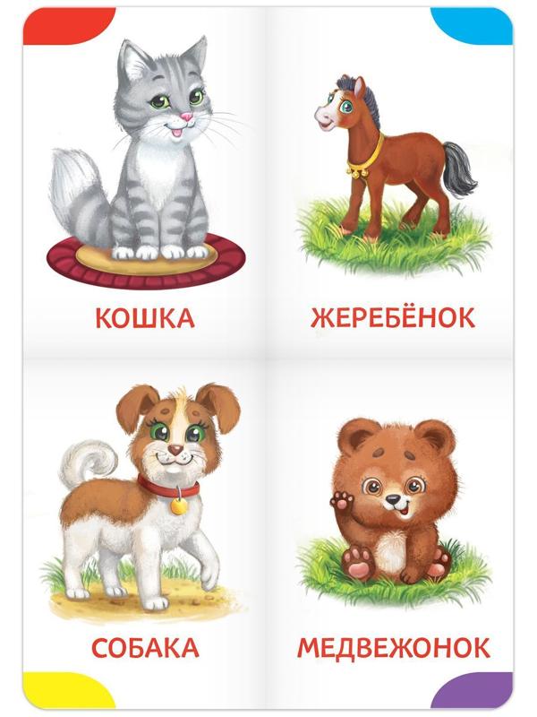 Книги-лото картонные набор из 4 шт. №1