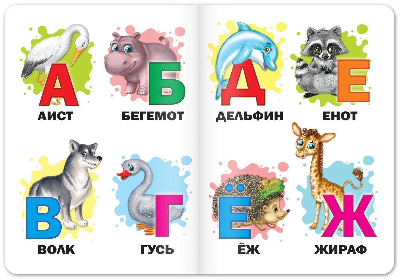 Книги картонные развивающие, набор 4 шт., по 10 стр.