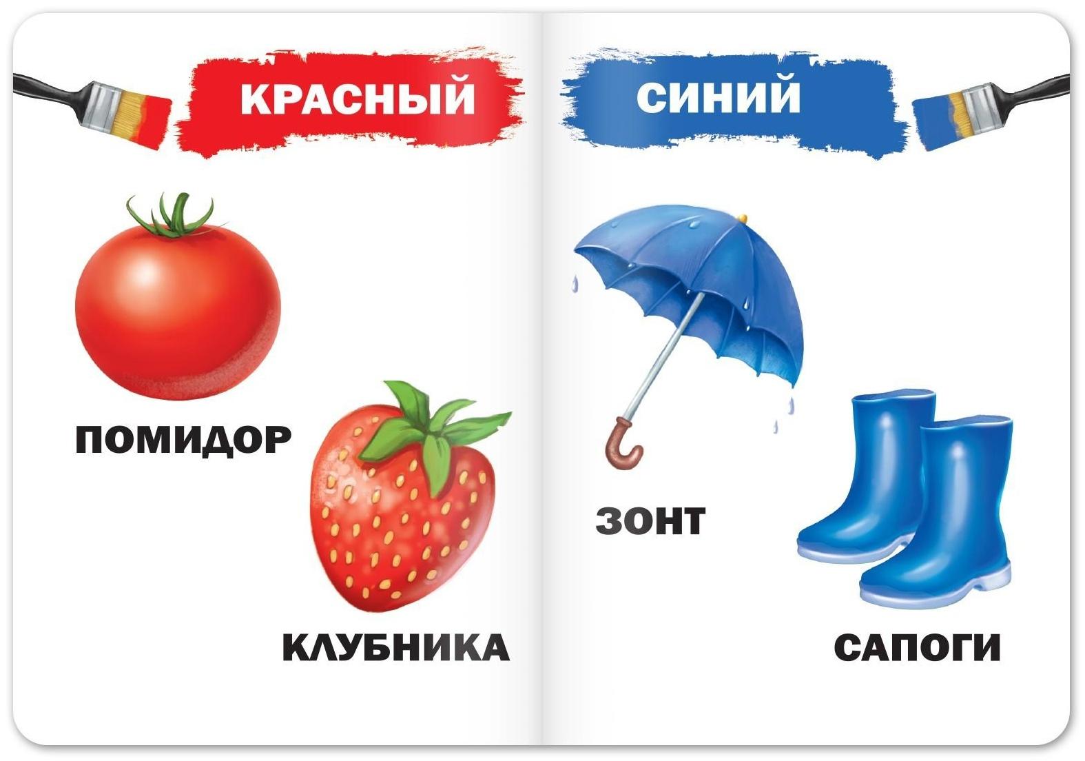 Книги картонные развивающие, набор 4 шт., по 10 стр.