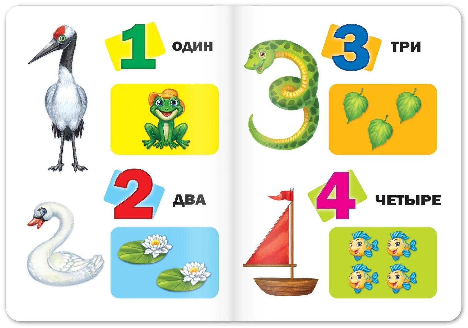 Книги картонные развивающие, набор 4 шт., по 10 стр.