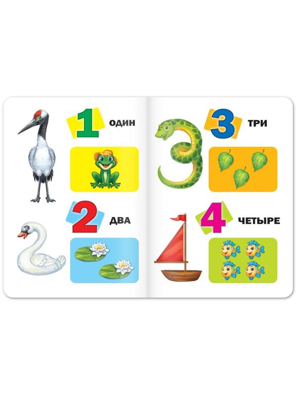Книги картонные развивающие, набор 4 шт., по 10 стр.