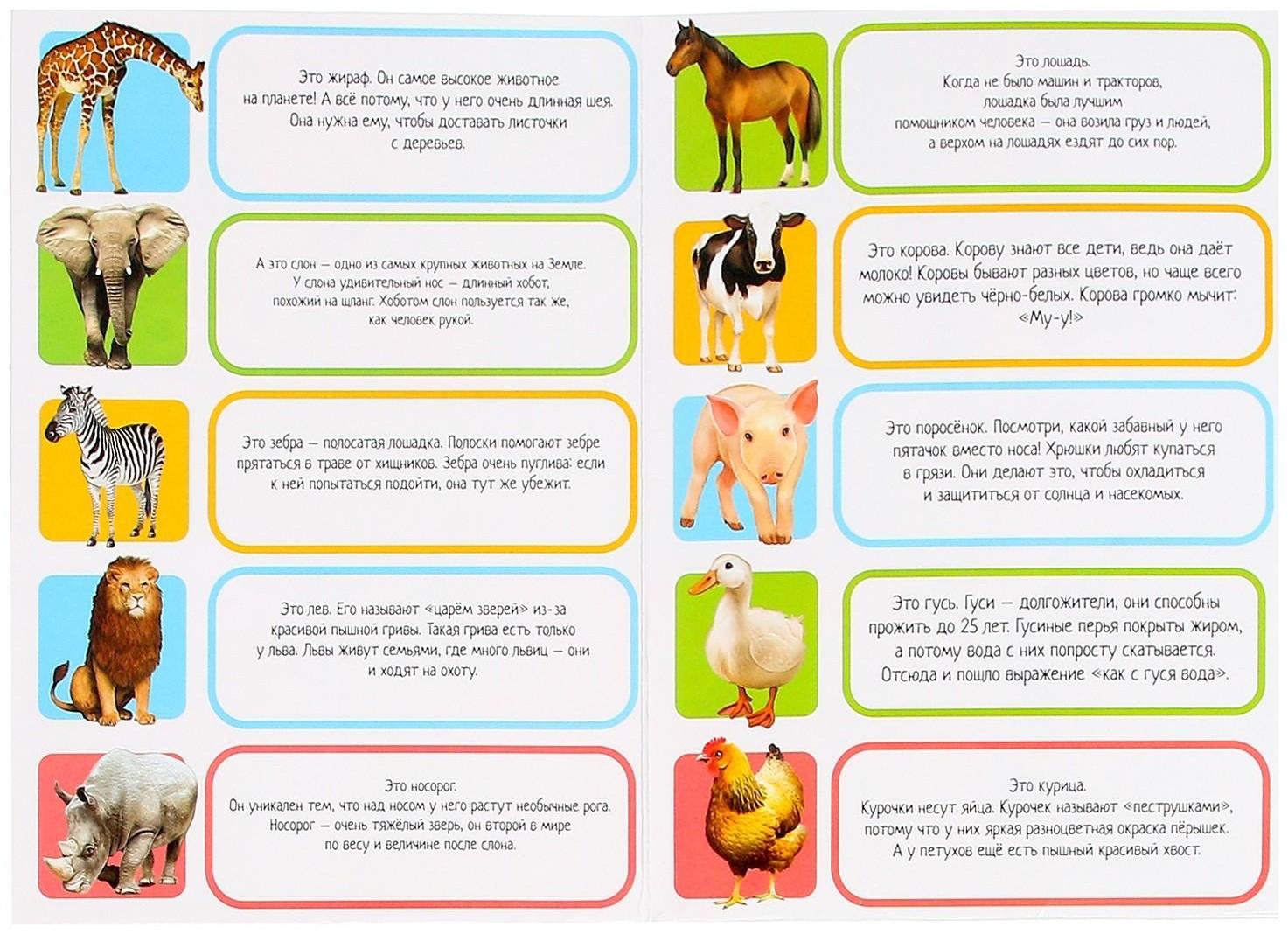 Обучающий набор «Весёлые животные»: животные и плакат, по методике Монтессори