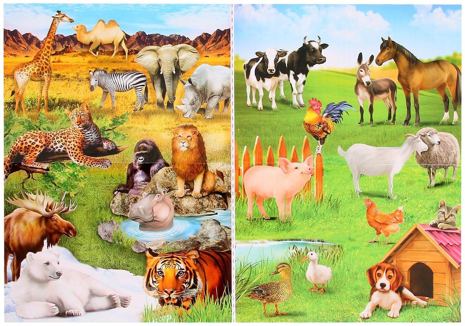 Обучающий набор «Весёлые животные»: животные и плакат, по методике Монтессори