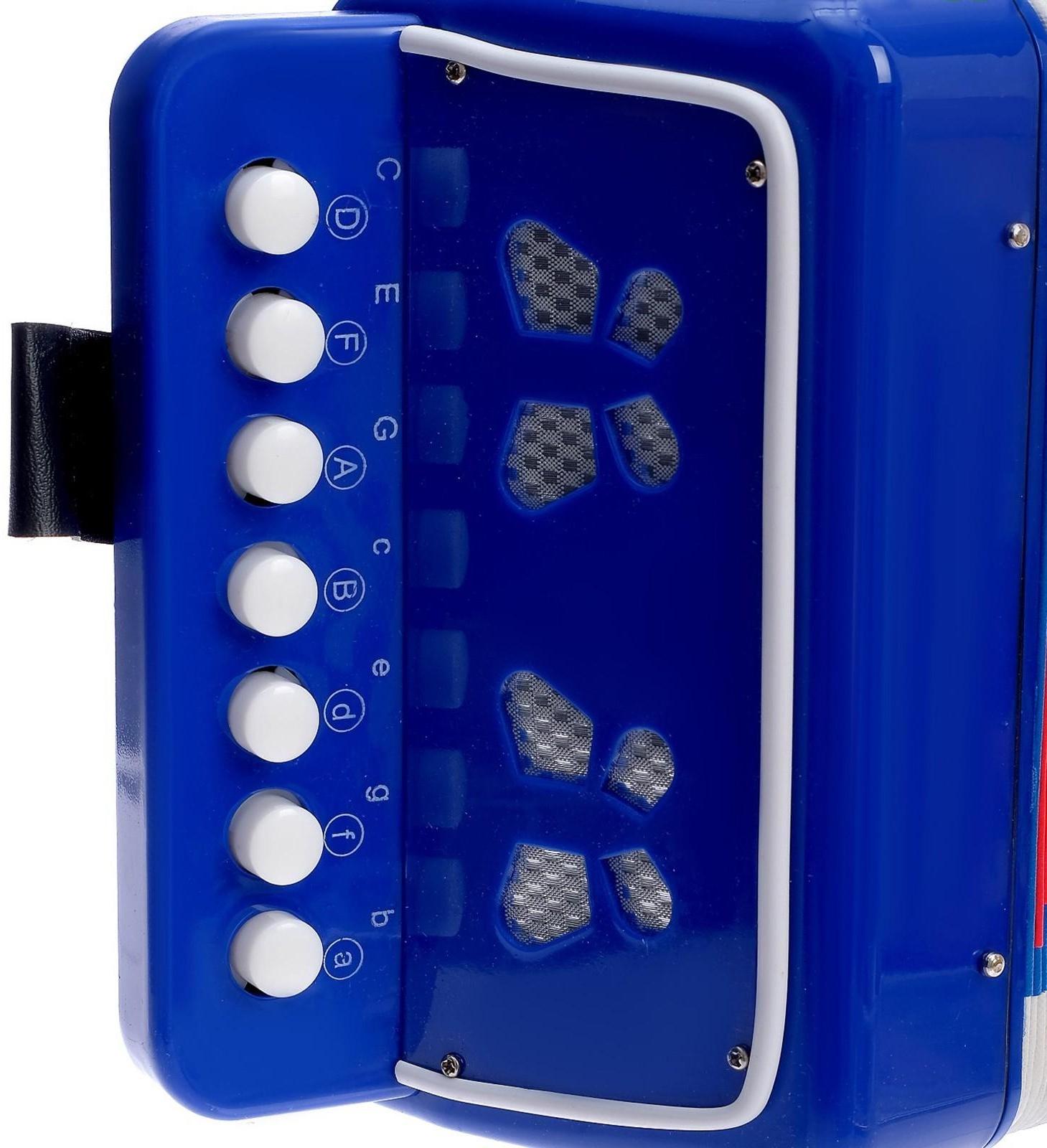 Музыкальная игрушка «Гармонь», цвет синий