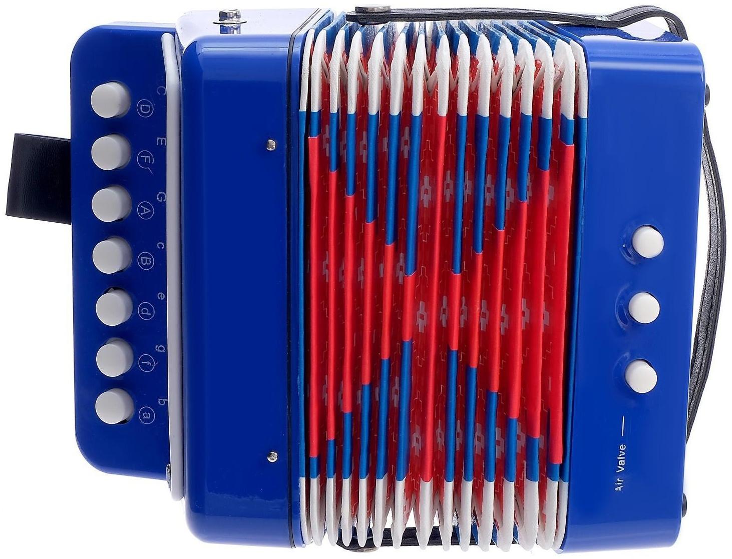 Музыкальная игрушка «Гармонь», цвет синий