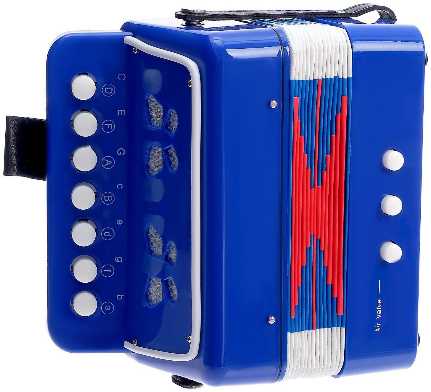 Музыкальная игрушка «Гармонь», цвет синий