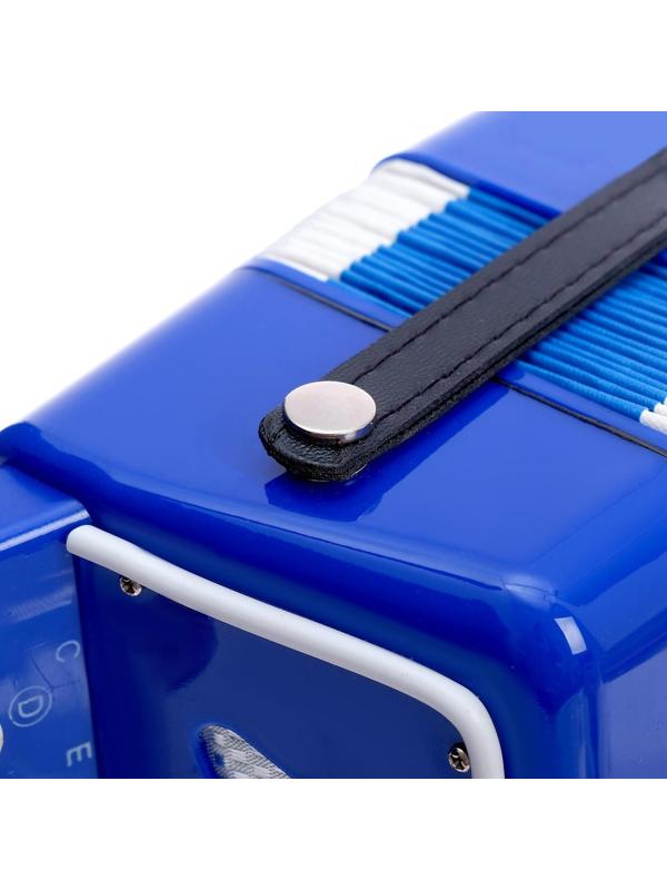 Музыкальная игрушка «Гармонь», цвет синий