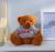 Мягкая игрушка «Медведь», кофточка с надписью, цвета МИКС