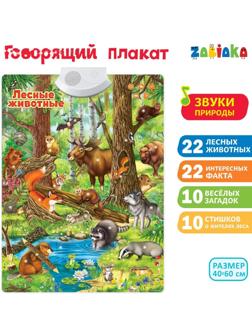 Говорящий электронный плакат «Лесные животные», работает от батареек