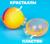 Набор для опытов «Прыгающие мячи», 1 форма 3 цвета
