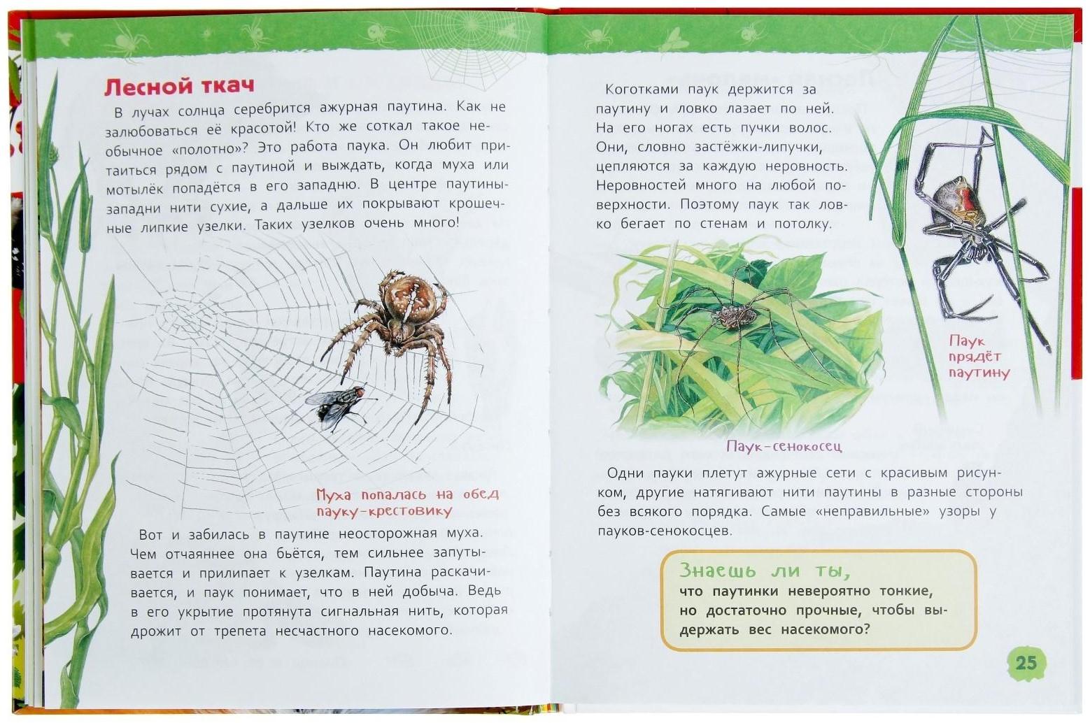 Энциклопедия для детского сада «В лесу»