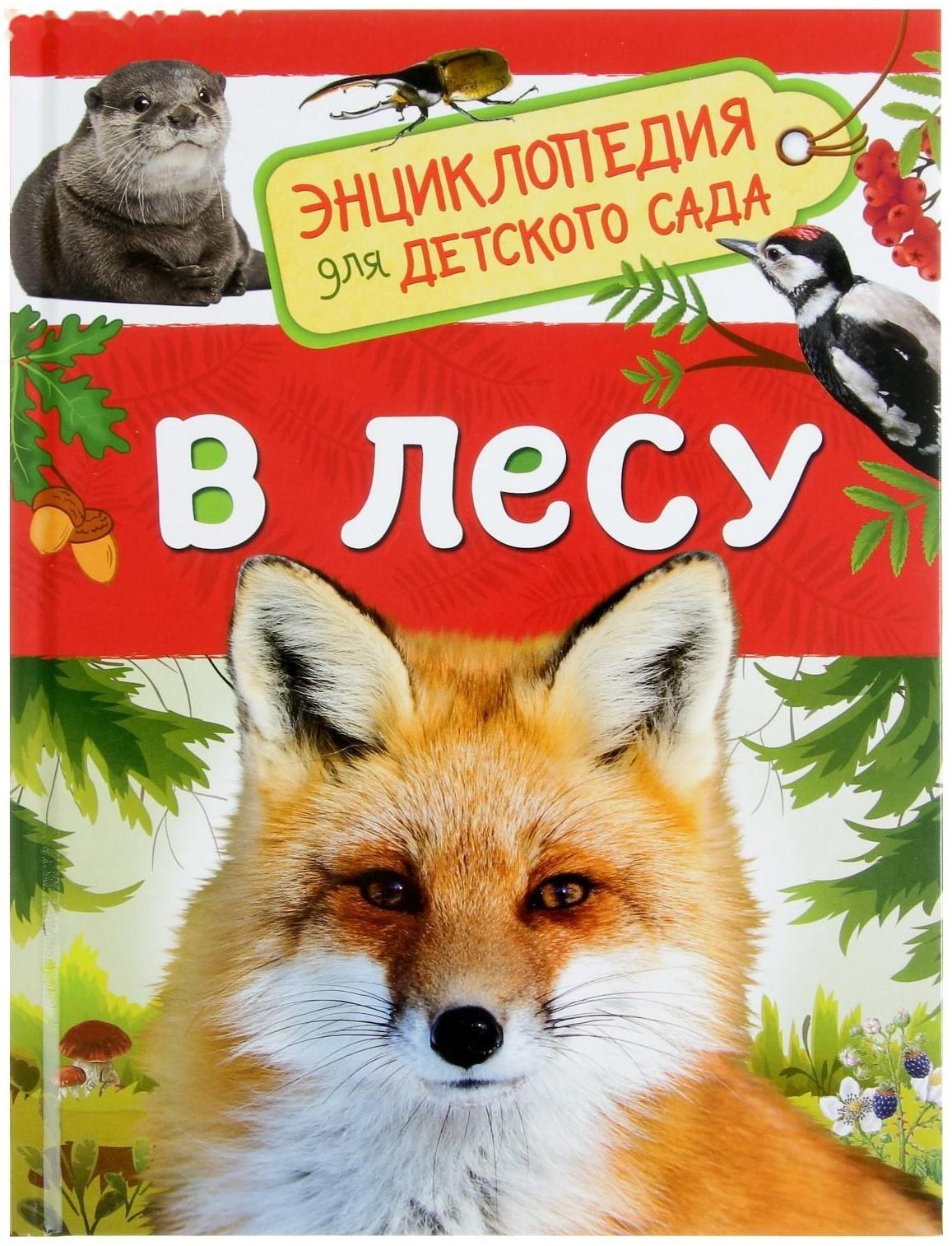 Энциклопедия для детского сада «В лесу»