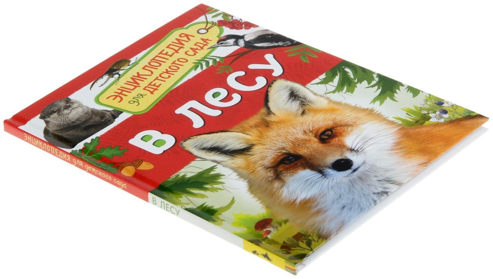 Энциклопедия для детского сада «В лесу»