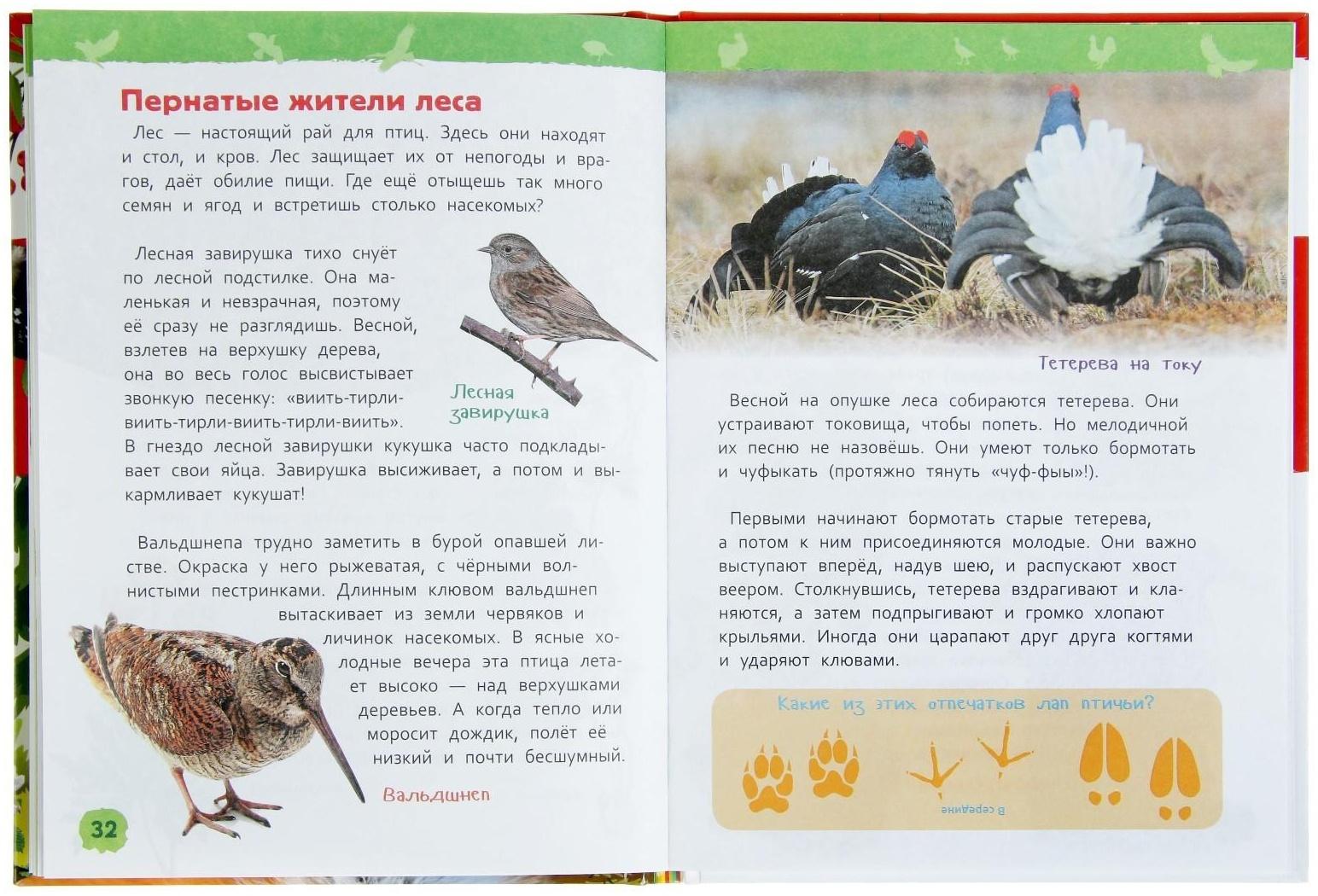 Энциклопедия для детского сада «В лесу»