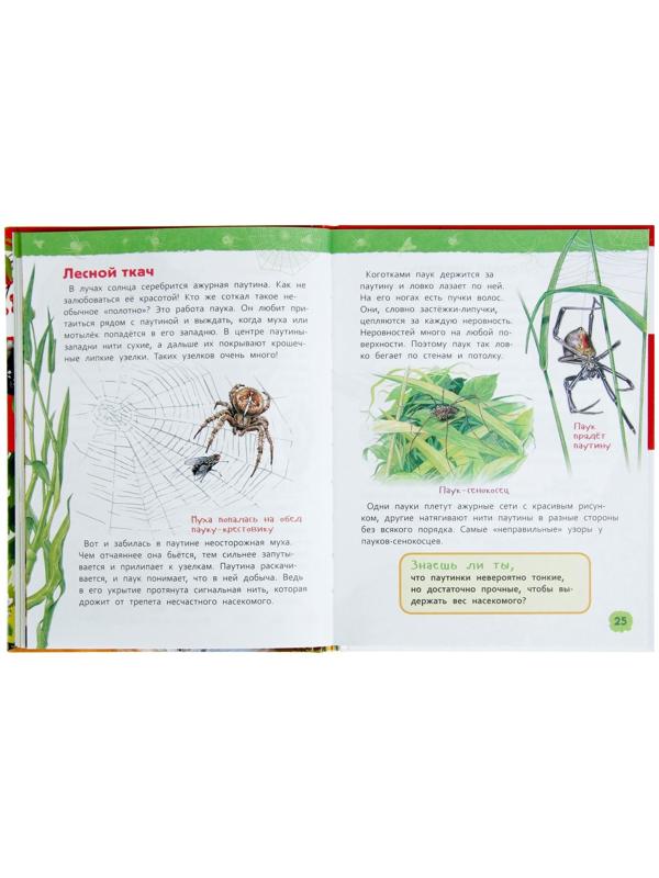 Энциклопедия для детского сада «В лесу»