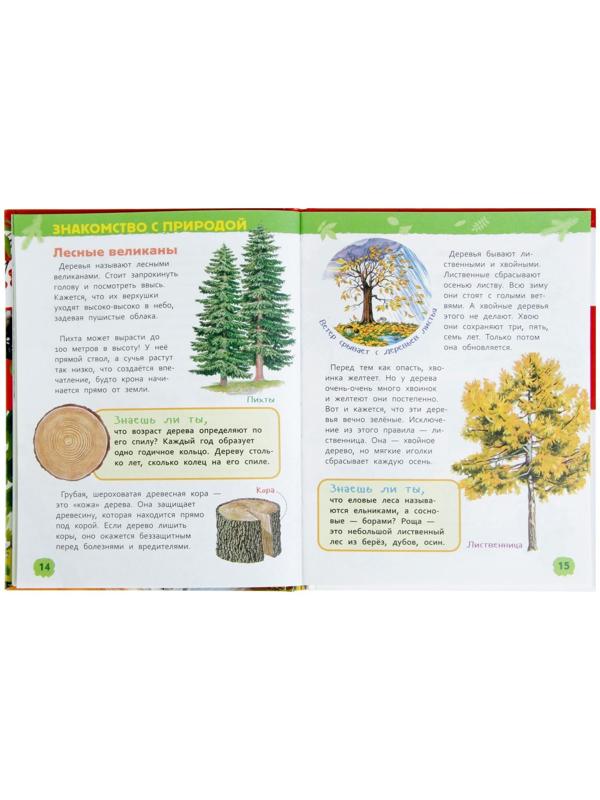 Энциклопедия для детского сада «В лесу»