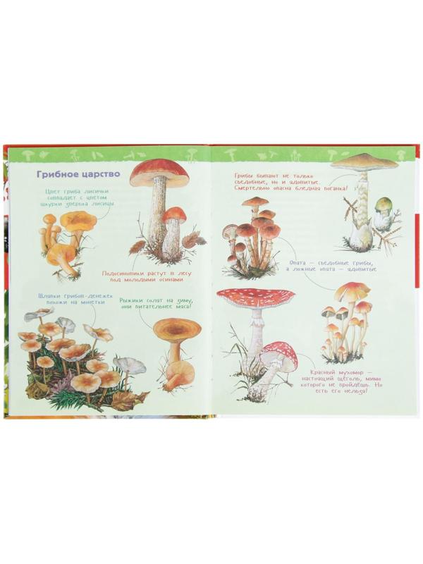 Энциклопедия для детского сада «В лесу»