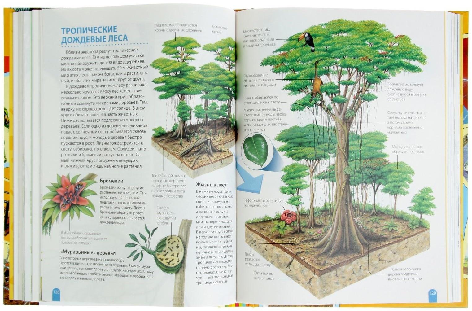 Большая энциклопедия школьника «Как это работает?»