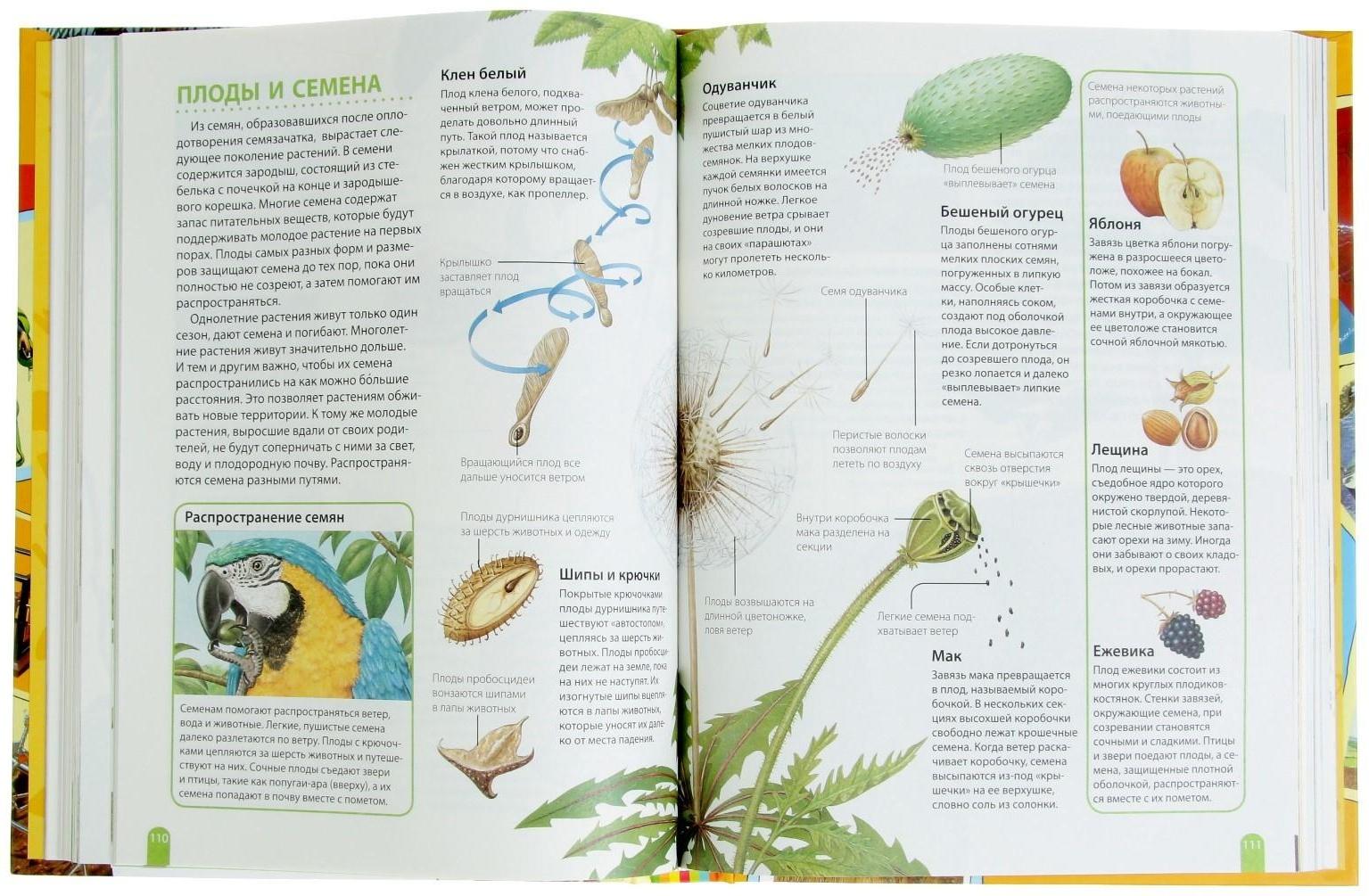 Большая энциклопедия школьника «Как это работает?»