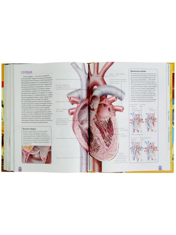 Большая энциклопедия школьника «Как это работает?»