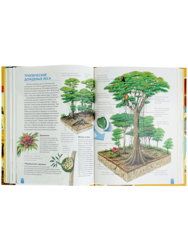 Большая энциклопедия школьника «Как это работает?»