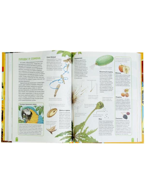 Большая энциклопедия школьника «Как это работает?»