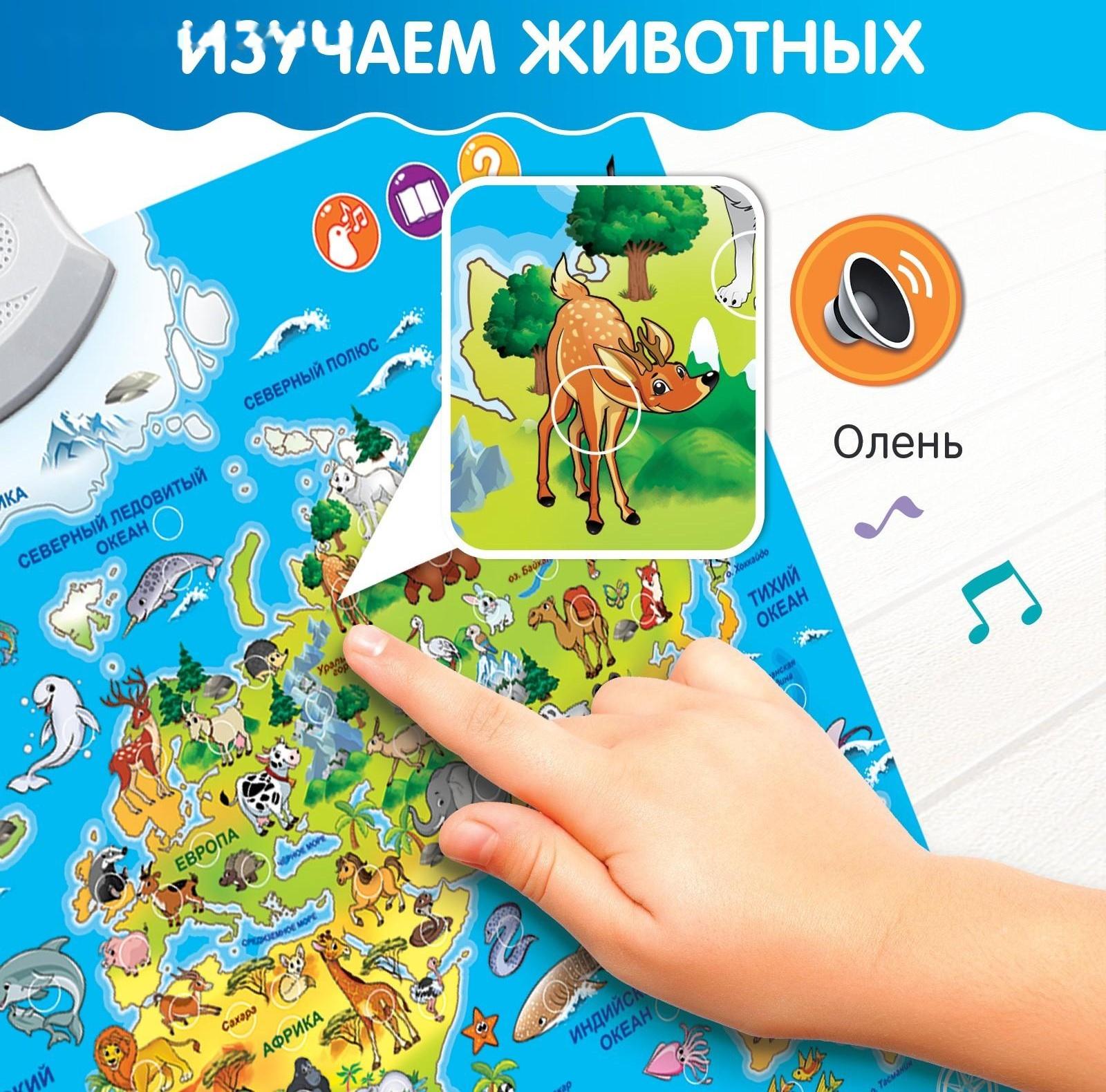 Обучающий плакат «Животные мира», звуковые эффекты