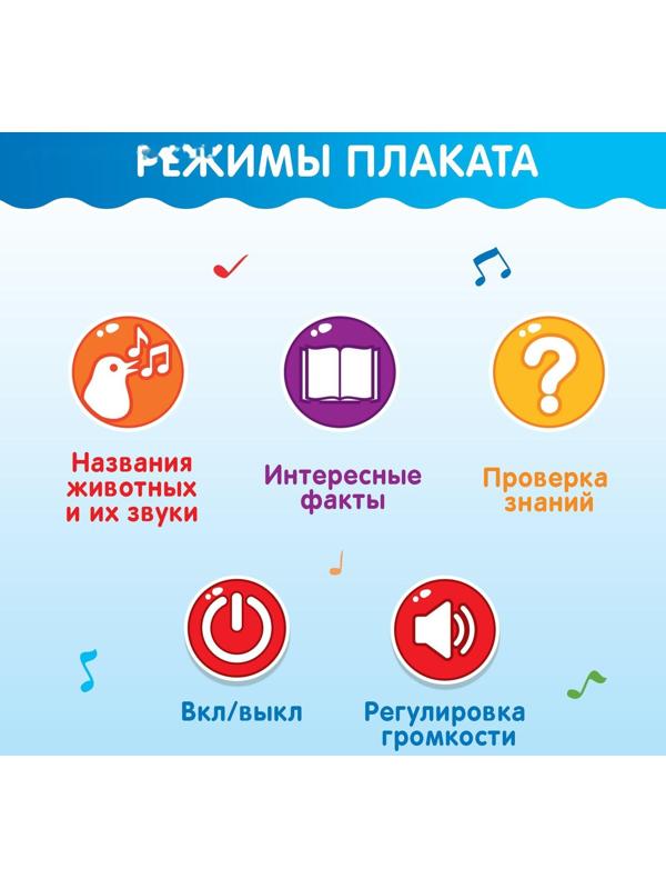 Обучающий плакат «Животные мира», звуковые эффекты