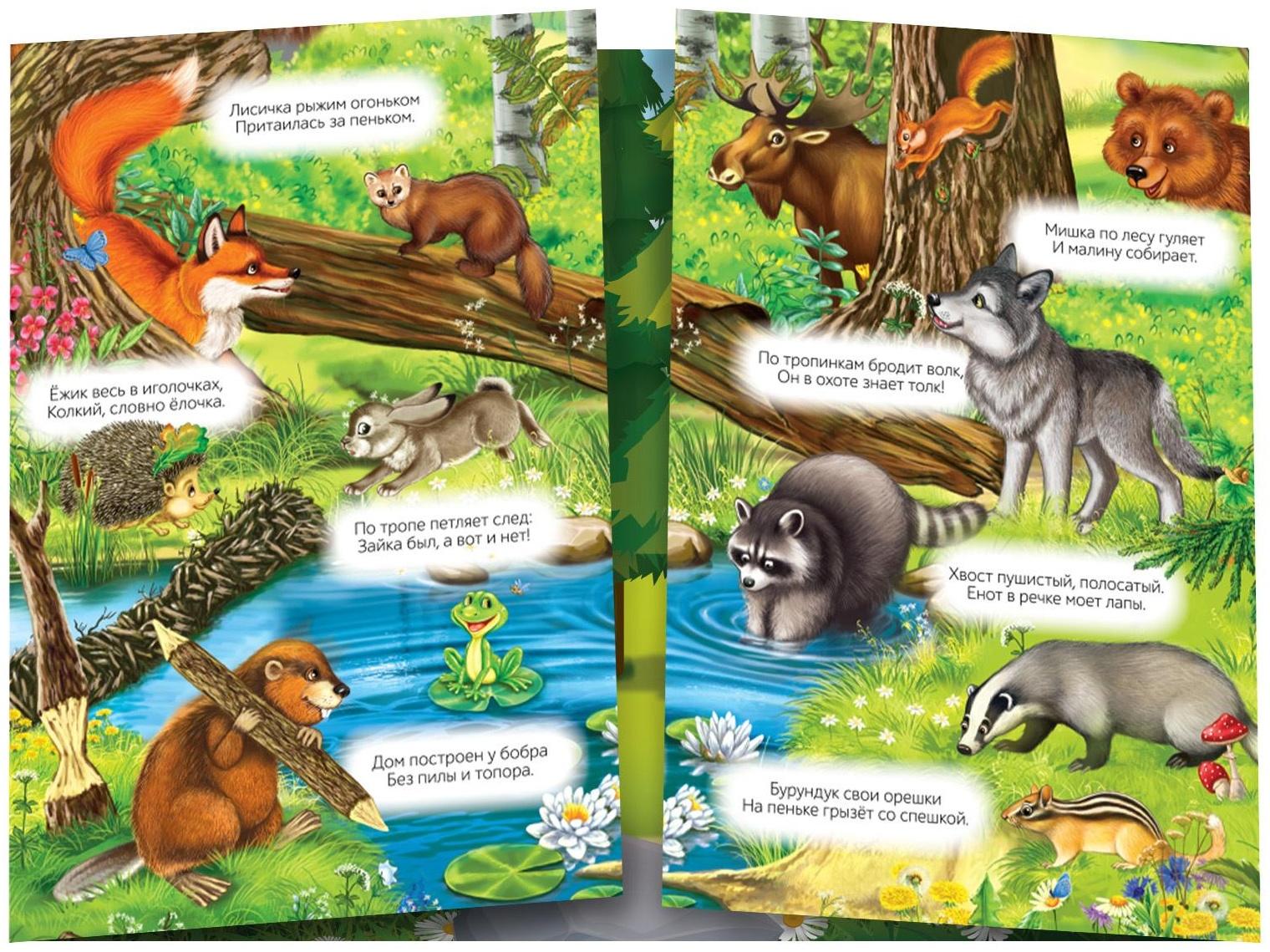 Наклейки многоразовые «Кто живёт в лесу»