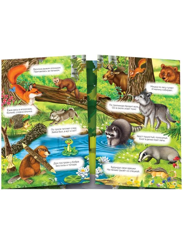 Наклейки многоразовые «Кто живёт в лесу»