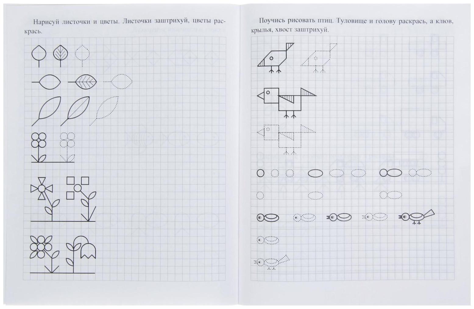 Дошкольный тренажёр. Прописи «Готовим руку к письму по клеточкам», для детей 5-6 лет