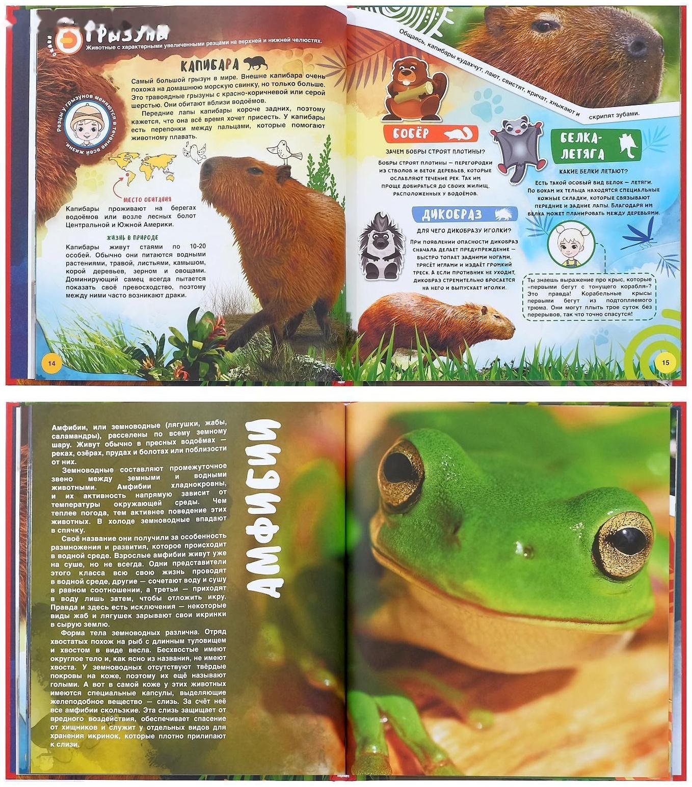 Энциклопедия 4D в дополненной реальности «Мир Животных»