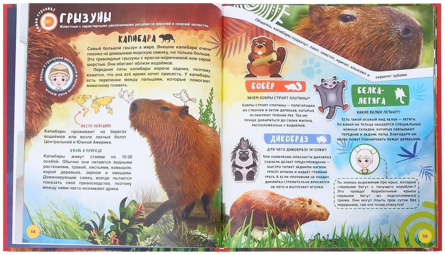 Энциклопедия 4D в дополненной реальности «Мир Животных»