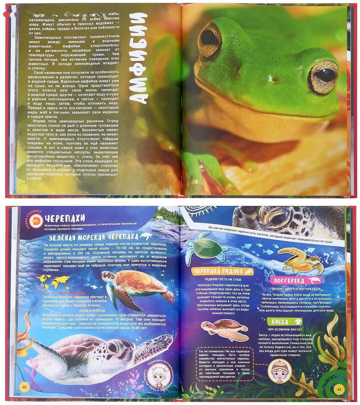 Энциклопедия 4D в дополненной реальности «Мир Животных»