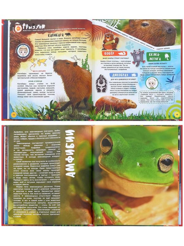 Энциклопедия 4D в дополненной реальности «Мир Животных»