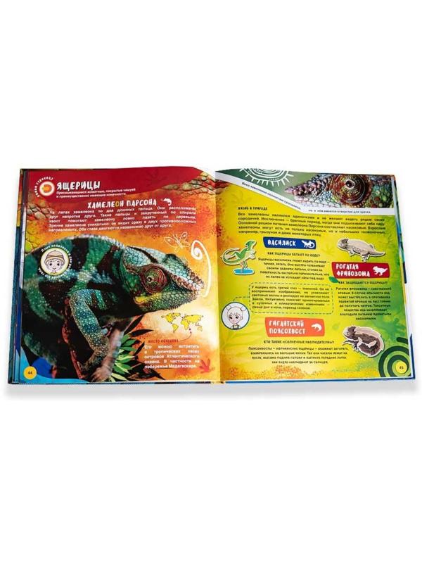 Энциклопедия 4D в дополненной реальности «Мир Животных»