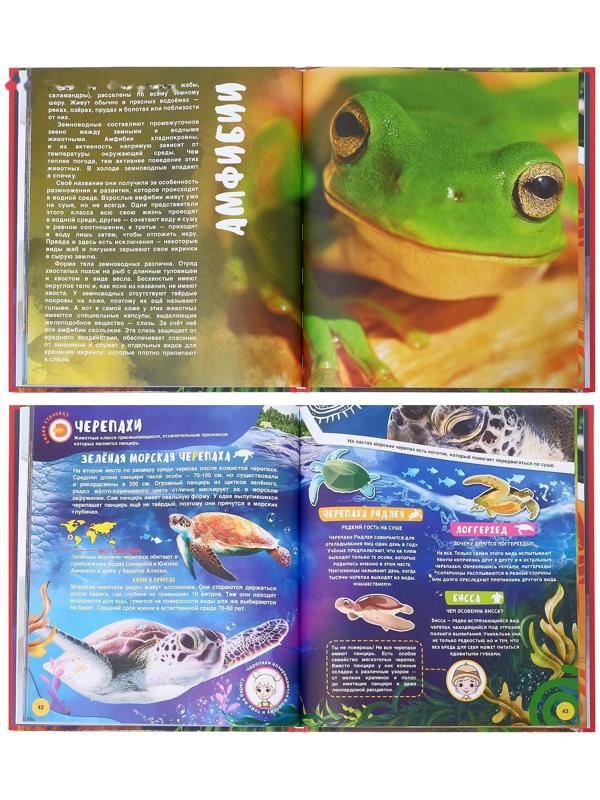 Энциклопедия 4D в дополненной реальности «Мир Животных»