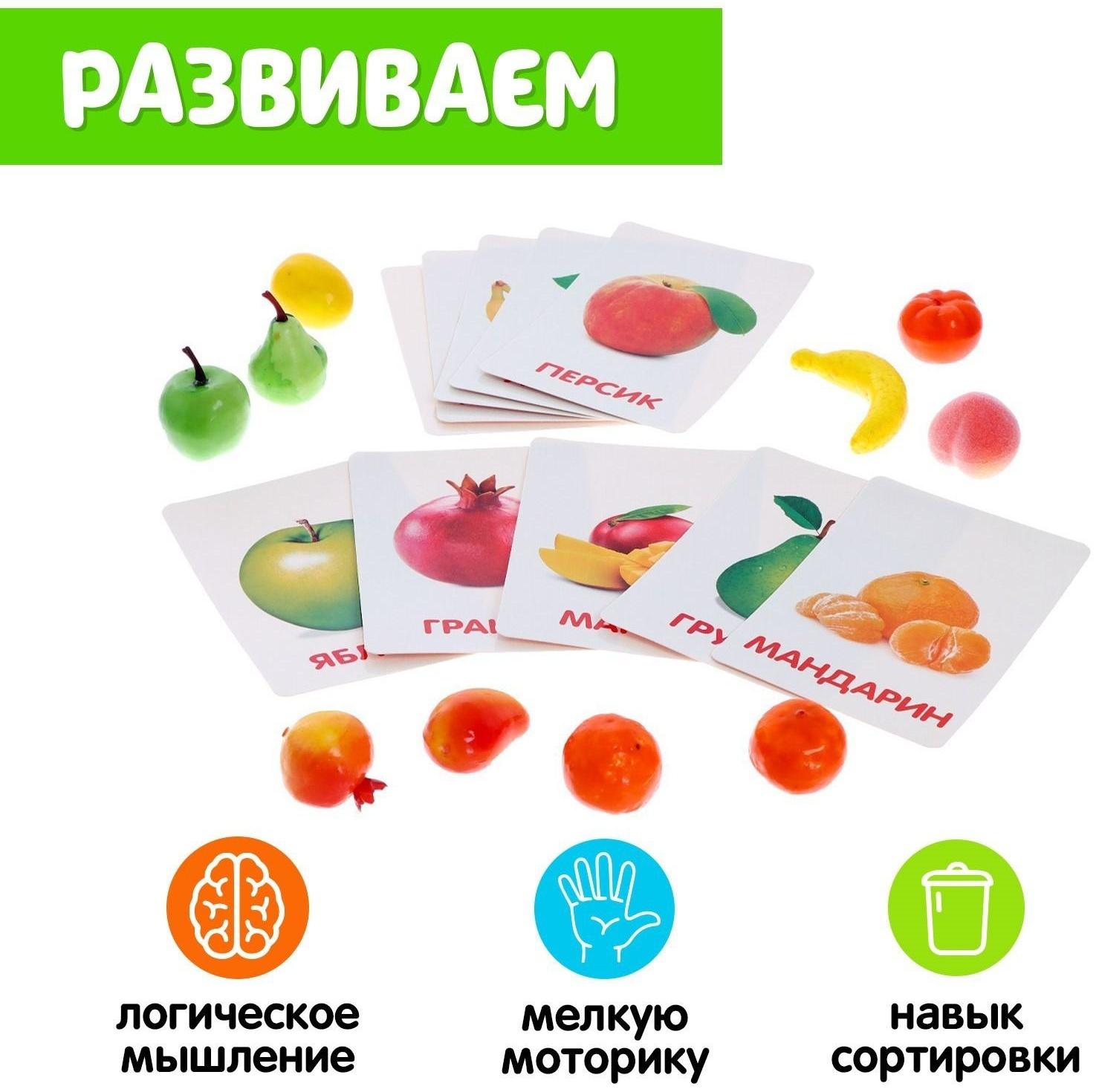 Обучающий набор по методике Г. Домана «Фрукты»: 10 карточек + 10 фруктов, счётный материал, МИКС