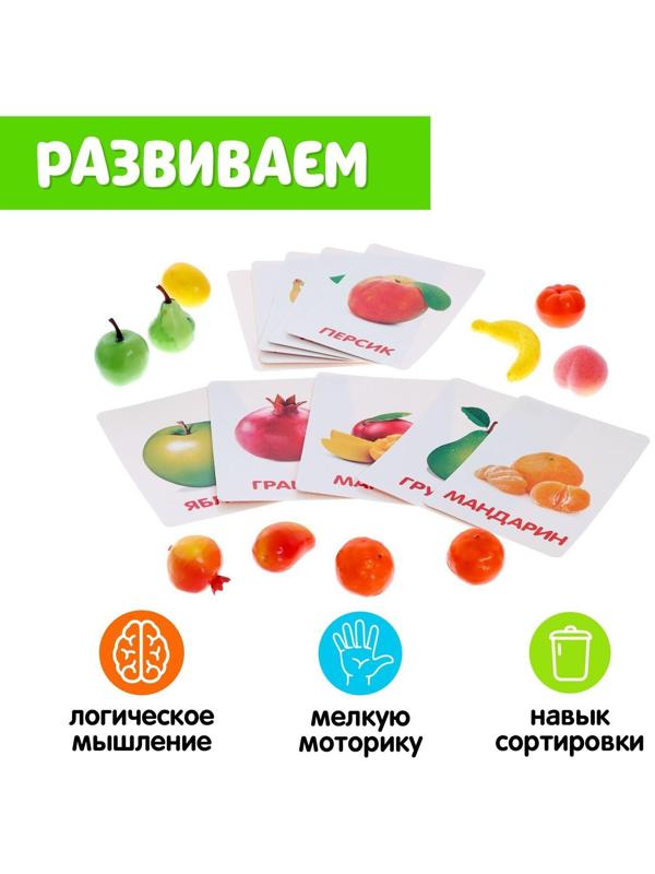 Обучающий набор по методике Г. Домана «Фрукты»: 10 карточек + 10 фруктов, счётный материал, МИКС