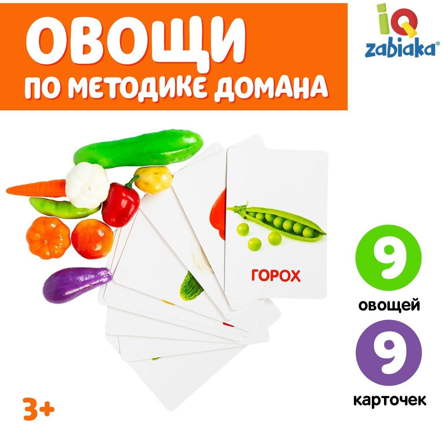 Обучающий набор по методике Г. Домана «Овощи»: 9 карточек + 9 овощей, счётный материал