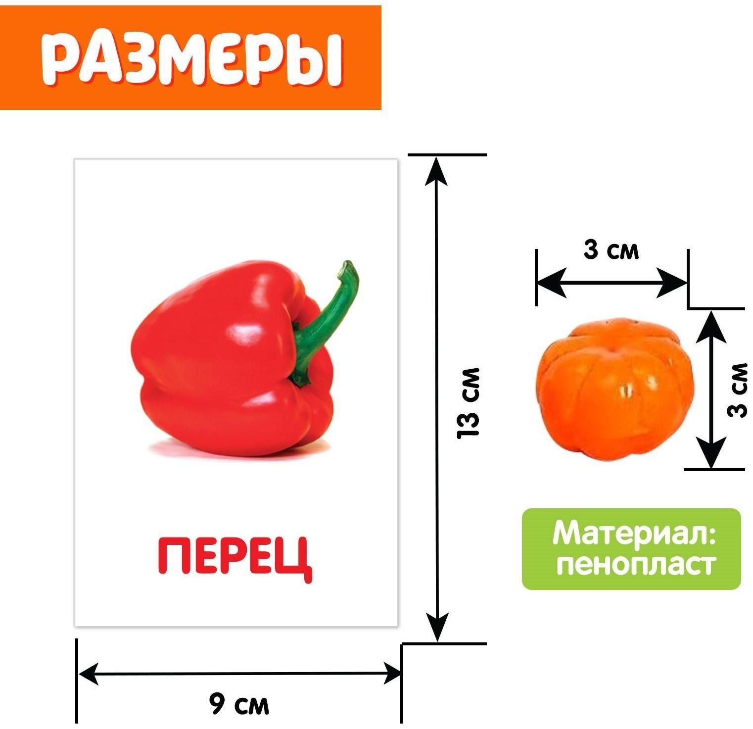 Обучающий набор по методике Г. Домана «Овощи»: 9 карточек + 9 овощей, счётный материал