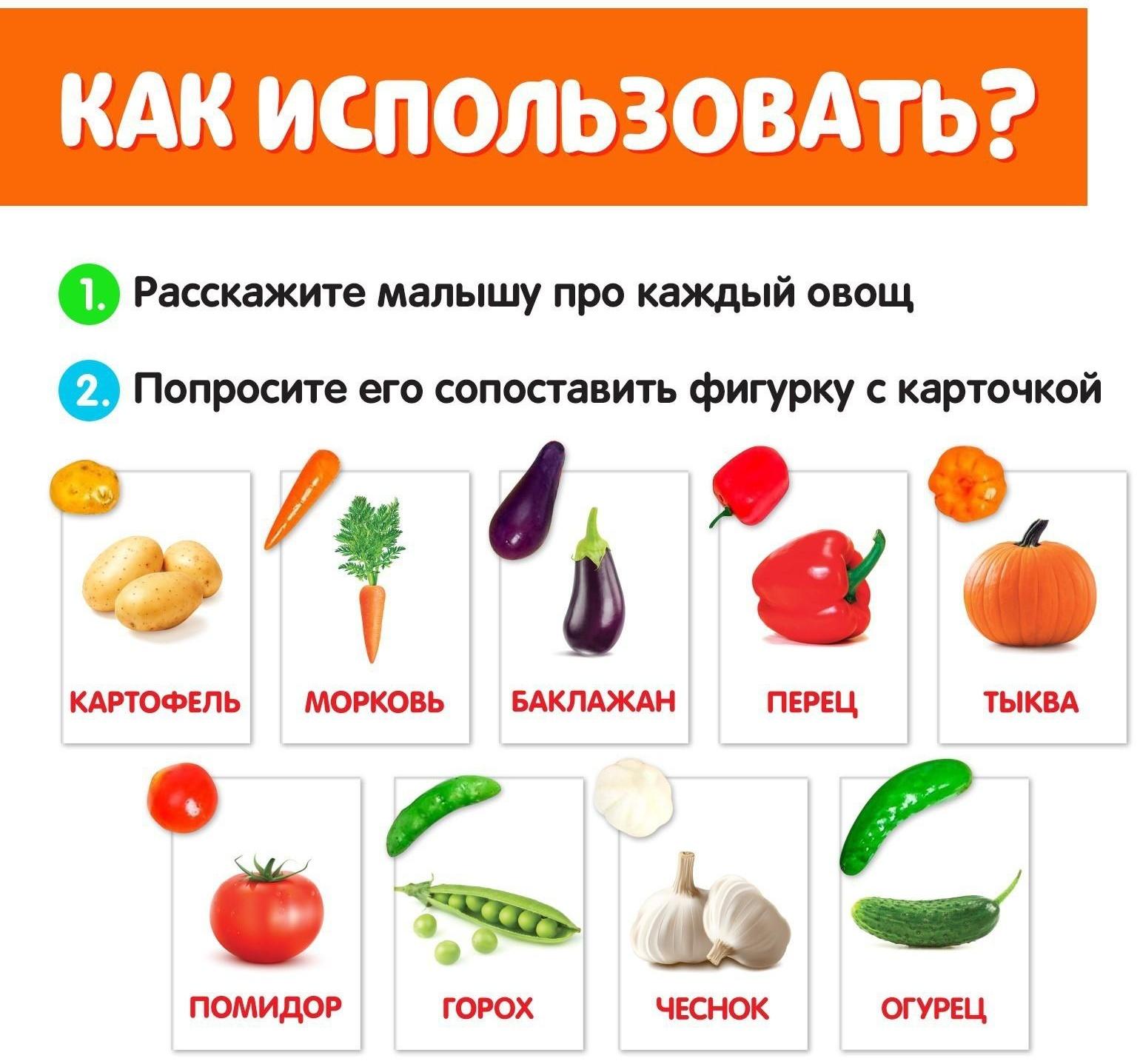 Обучающий набор по методике Г. Домана «Овощи»: 9 карточек + 9 овощей, счётный материал
